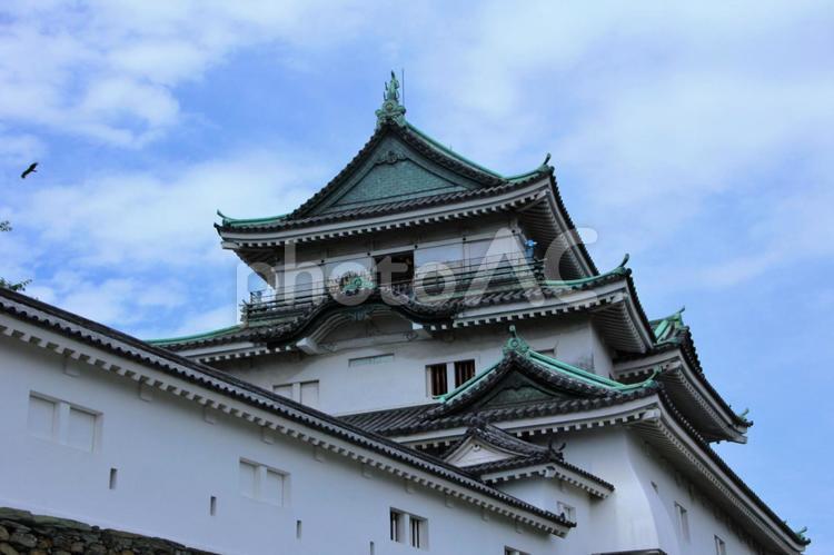 城ー和歌山城ー和歌山県 和歌山城,和歌山県,城の写真素材