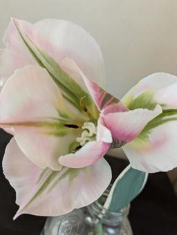flower, JPG flower, JPG