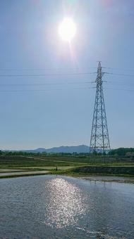 太陽と田んぼ 太陽と田んぼの写真