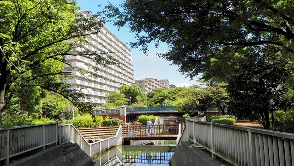 初秋の仙台堀川公園&尾高橋&街(江東区) 初秋の仙台堀川公園&尾高橋&街(江東区) 初秋,仙台堀川,尾高橋の写真素材