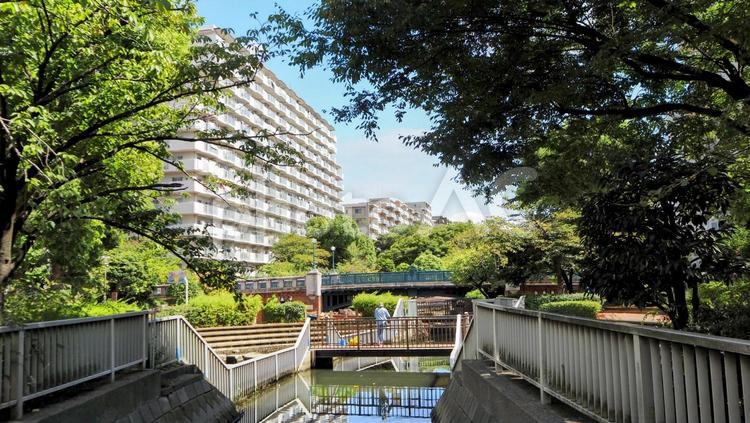 初秋の仙台堀川公園＆尾高橋＆街（江東区） 初秋,仙台堀川,尾高橋の写真素材