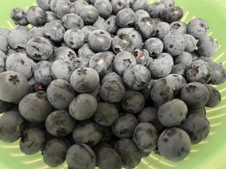 ジューンベリー ベリー系,目に良い,甘酸っぱいの写真素材