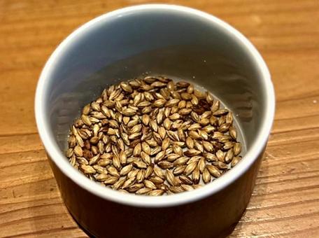 麦芽 麦芽,種,お通しの写真素材