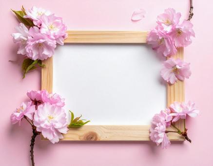 桜のフレーム 桜のフレームの写真
