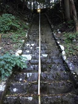 苔むした急峻な石段 苔むした急峻な石段の写真