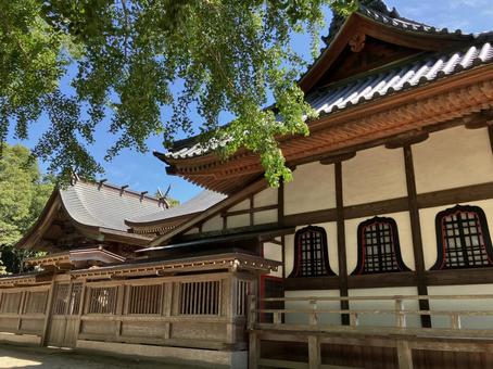 真夏の白子神社 真夏の白子神社 本殿,白子神社,木の写真素材