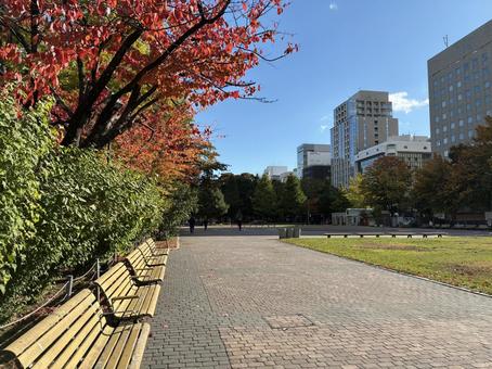 10月下旬の札幌大通公園西7丁目 10月下旬の札幌大通公園西7丁目 札幌,大通公園,公園の写真素材