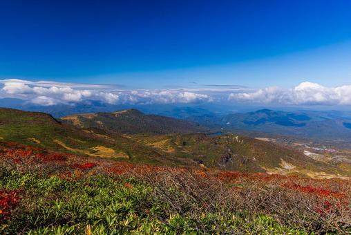 秋色に染まる　栗駒山の絶景 山,秋,紅葉の写真素材