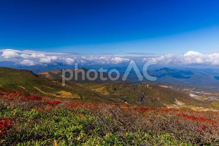 秋色に染まる　栗駒山の絶景 山,秋,紅葉の写真素材