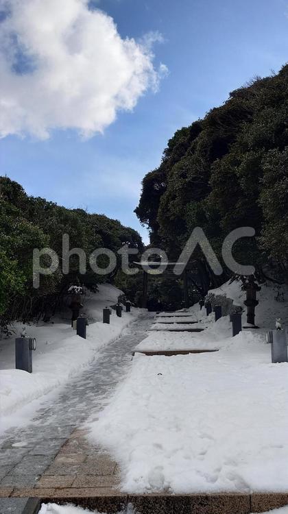 鳥取県-白兎神社-鳥居と参道 白兎神社,神社,鳥居の写真素材