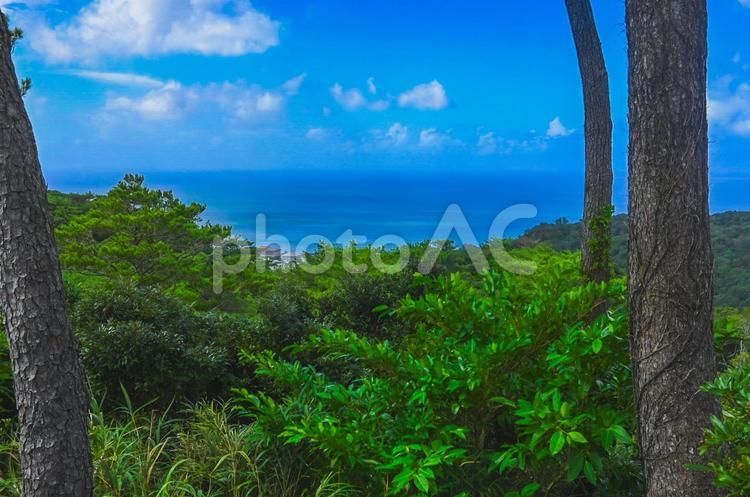 山の上から見た海と空 海,海景,空の写真素材