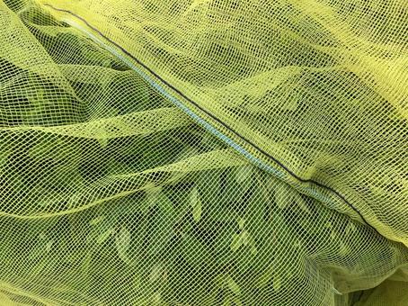 Yellow net background material, JPG