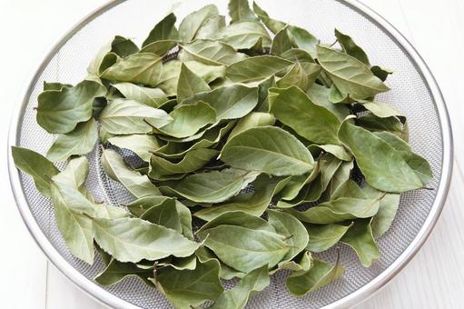 ドライハーブ　ローリエ　月桂樹の葉1 ローリエ,月桂樹の葉,ハーブの写真素材