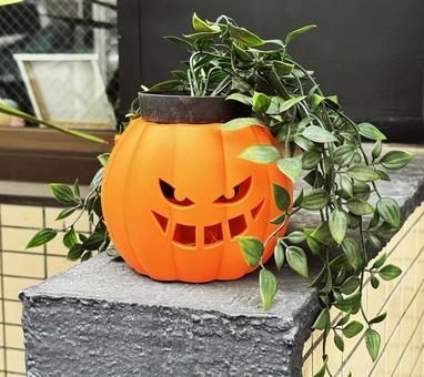 ハローウィン ハローウィンの写真