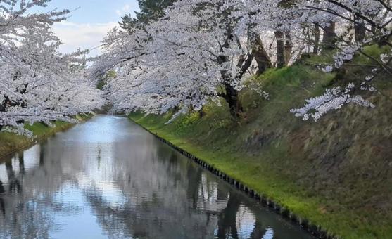 弘前公園と濠 弘前公園と濠の写真