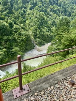 森と川 森と川の写真