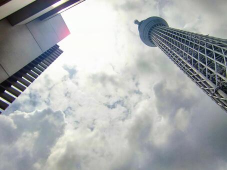 曇り日の東京スカイツリー-151 東京スカイツリー,曇り日,雲の写真素材