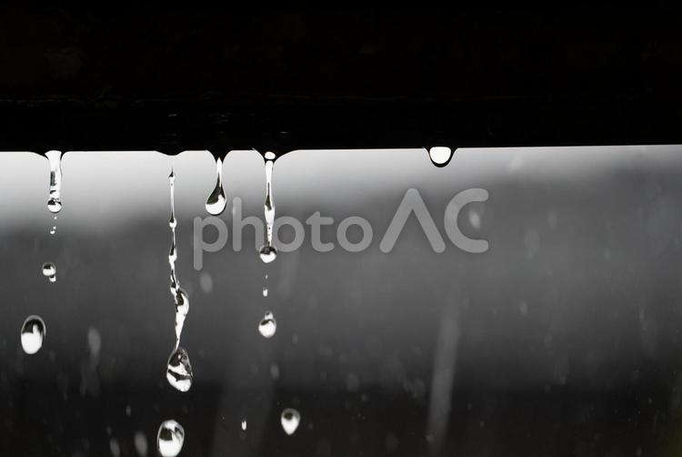 滴る雨と静寂の時間 雨滴,雨のしずく,雨の写真素材