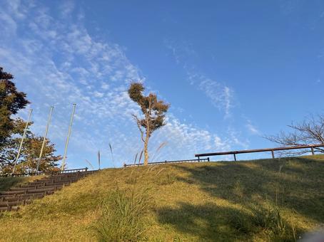 空 空の写真