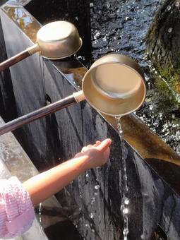 手洗 手洗の写真