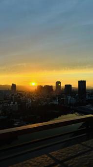 大阪の朝日 大阪の朝日の写真