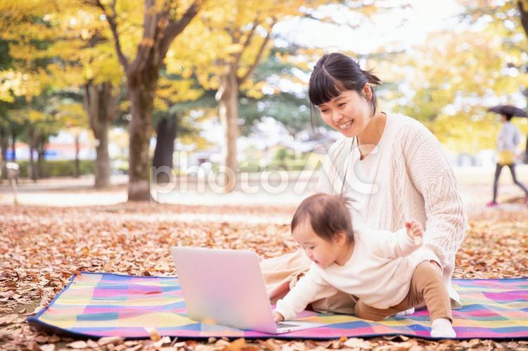 秋の公園でママとノートパソコンで遊ぶ赤ちゃん ノートパソコン,パソコン,ピクニックの写真素材