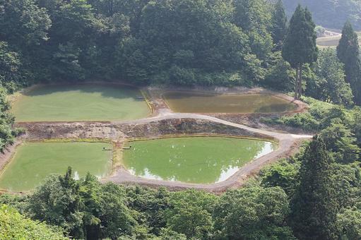 水面に移る林の写真