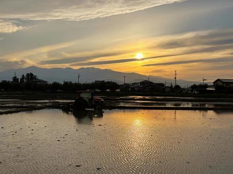 夕暮れの水田 夕暮れの水田の写真