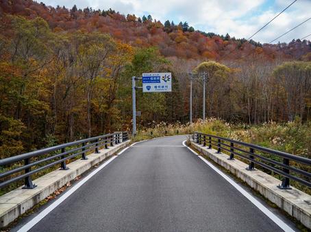 秋の金泉橋(福島方面) 秋の金泉橋(福島方面)の写真