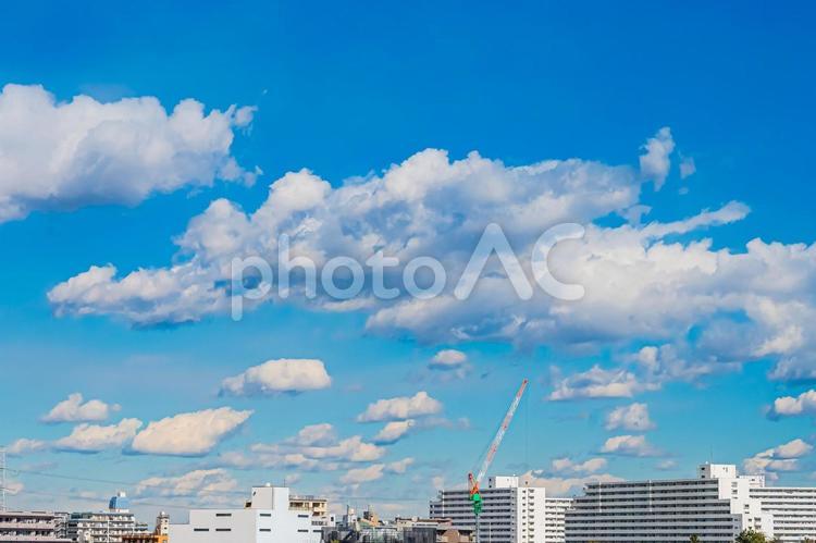千葉県　舞浜大橋の風景 公園,港,都会の写真素材