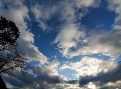 冬空の写真