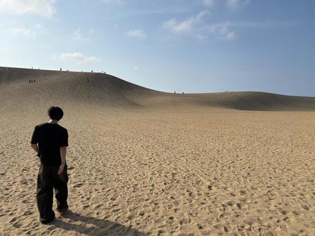 Photo, natural, beach, sand, 
