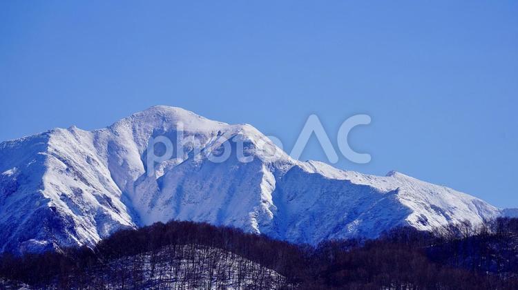 新潟県から見た谷川岳の全景写真 谷川岳,谷川連峰,山の写真素材