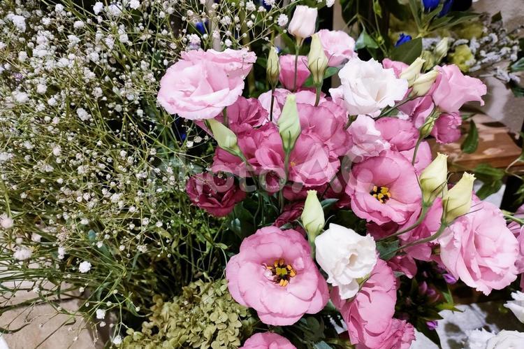 花束のイメージ 花束,花,フラワーの写真素材