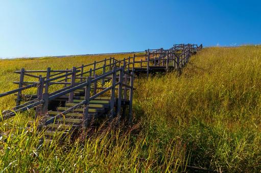 多摩湖の堤防の階段 紅葉,狭山公園,階段の写真素材