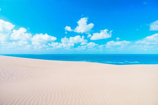 【鳥取】鳥取砂丘と青空と海 tottori,鳥取砂丘,砂丘の写真素材