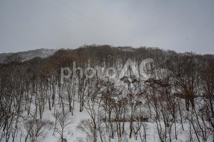 谷川岳ロープウェイから見た景色 谷川岳,ロープウェイ,銀世界の写真素材
