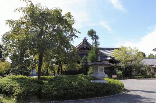 妙満寺　大書院 妙満寺,大書院,妙塔山の写真素材