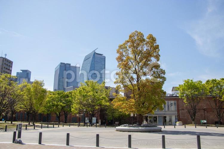 ノリタケの森 名古屋都市風景 ノリタケの森,名古屋都市風景,建物の写真素材