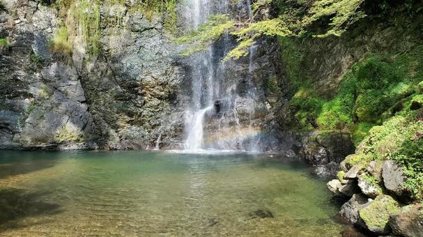 滝壺にかかる虹と清流 岩肌 遠景 滝壺にかかる虹と清流 岩肌 遠景 滝,滝壺,虹の写真素材