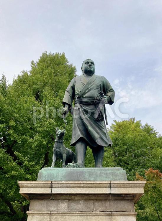 東京風景・上野公園 上野公園,上野恩賜公園,西郷隆盛像の写真素材