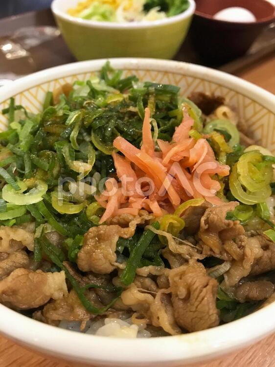 牛丼　イメージ 牛丼,牛肉,ネギの写真素材