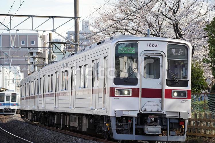 東武鉄道10050系「亀戸線東あずま」 鉄道,鉄道のある風景,東武鉄道の写真素材