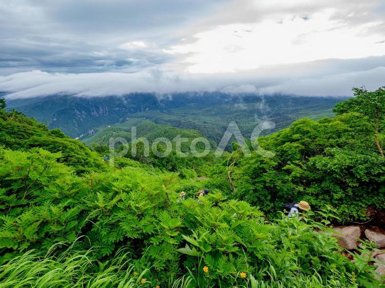 大雪山系黒岳より（北海道上川郡層雲峡） 黒岳,大雪山,大雪の写真素材
