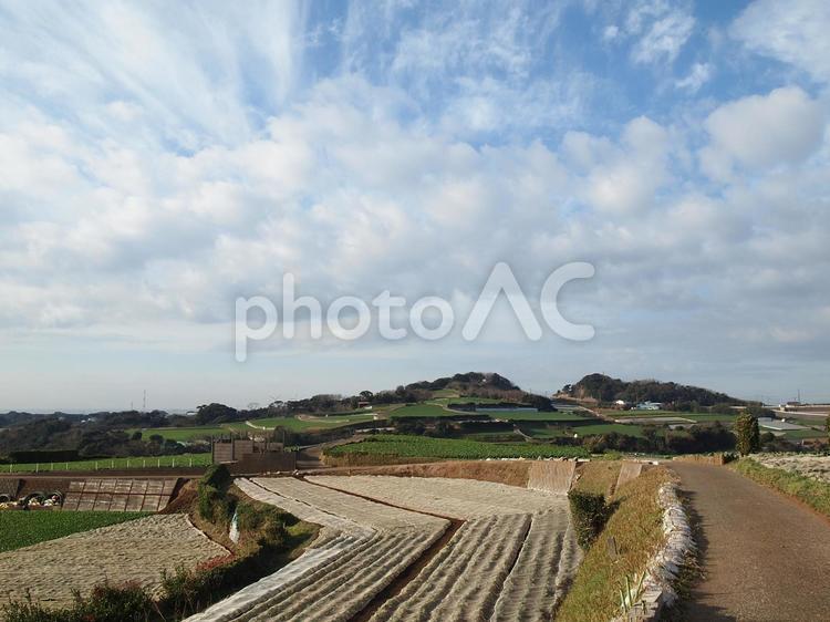 田園風景と青空２ 田園,畑,畑道の写真素材