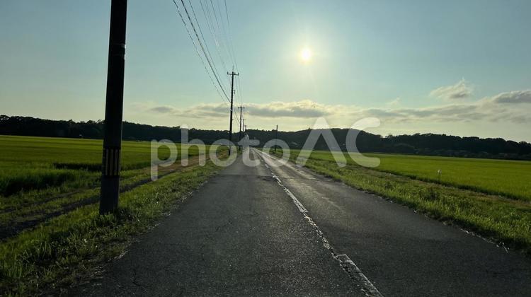 【石川】夏の風景 田んぼ,道路,ドライブの写真素材