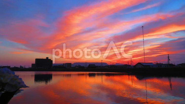 ５月下旬の野田池の日の出 背景,日の出,朝焼けの写真素材