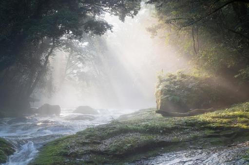 熊本-【菊池渓谷の光芒】の写真