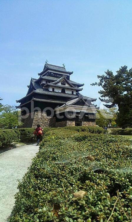 黒い城　松江城の夏 松江城,名城,黒の写真素材