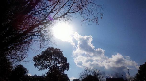 空 空の写真